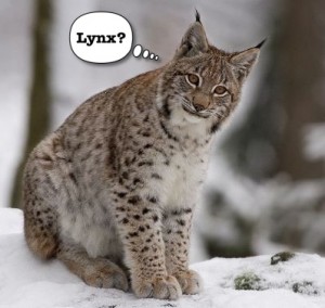 Lynx